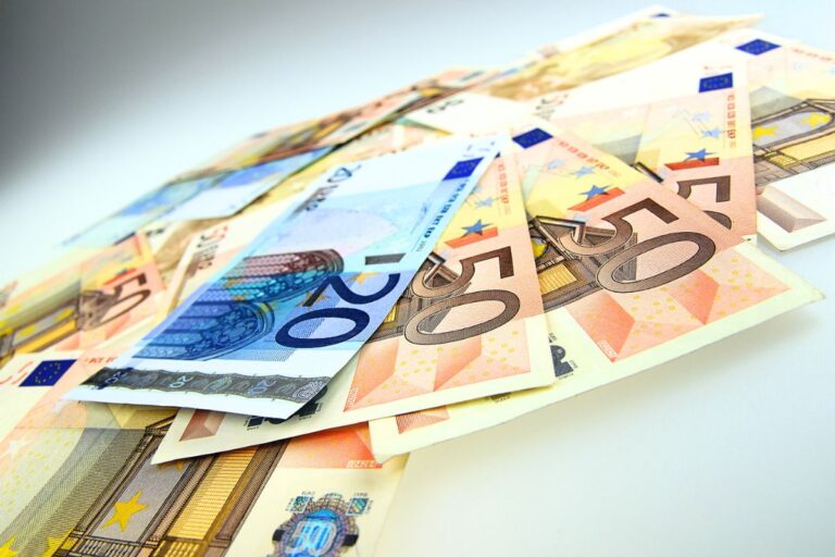 Euro numérique