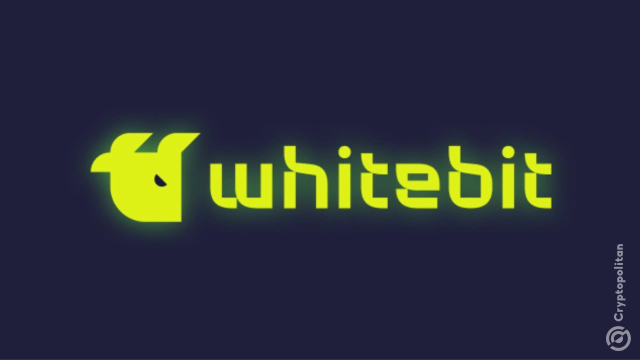 whitebit-coin-explose-au-dessus-des-34-nouvelle-envolee-pour-lexchange-token