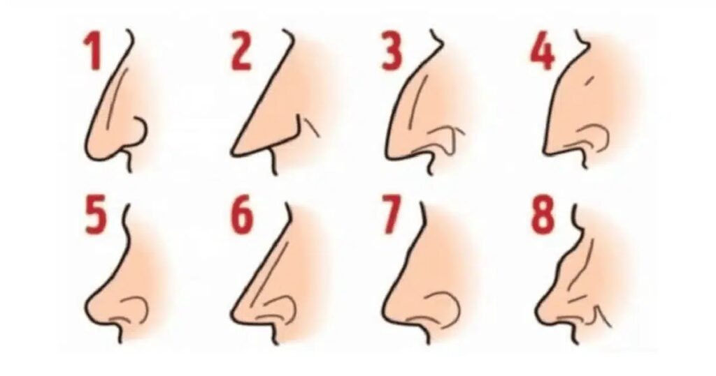 Ce que la forme de votre nez dit de vous