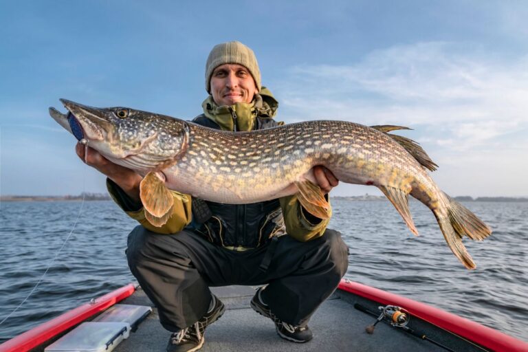Un pêcheur remonte un brochet géant de plus de 2 mètres les images impressionnent