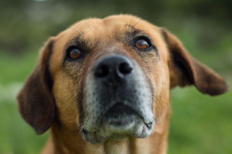 À 1h30 du matin, une sonnette retentit au refuge