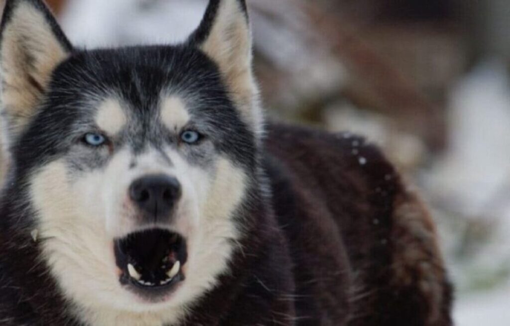 la famille comprenne pourquoi