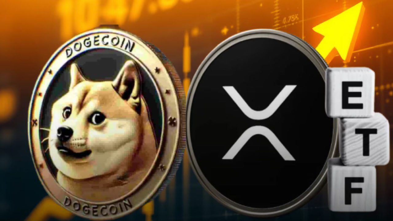 grayscale-depose-une-demande-detf-doge-maxi-doge-maxi-pourrait-il-surfer-sur-la-vague