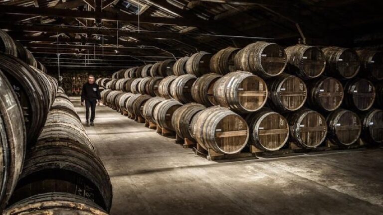 remy-cointreau-paradoxe-boursier-dune-action-qui-grimpe-sur-des-resultats-decevants